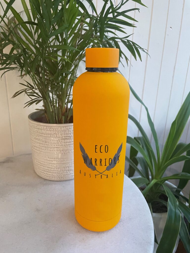 Insulated drink bottle - 750ml