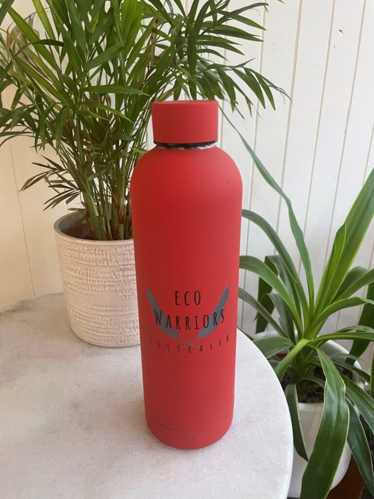 Insulated drink bottle - 750ml