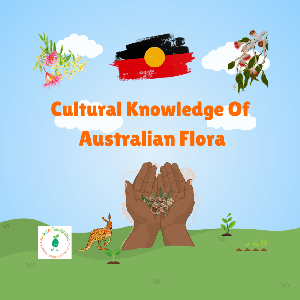 Cultural Knowledge of Australia Flora Booklet