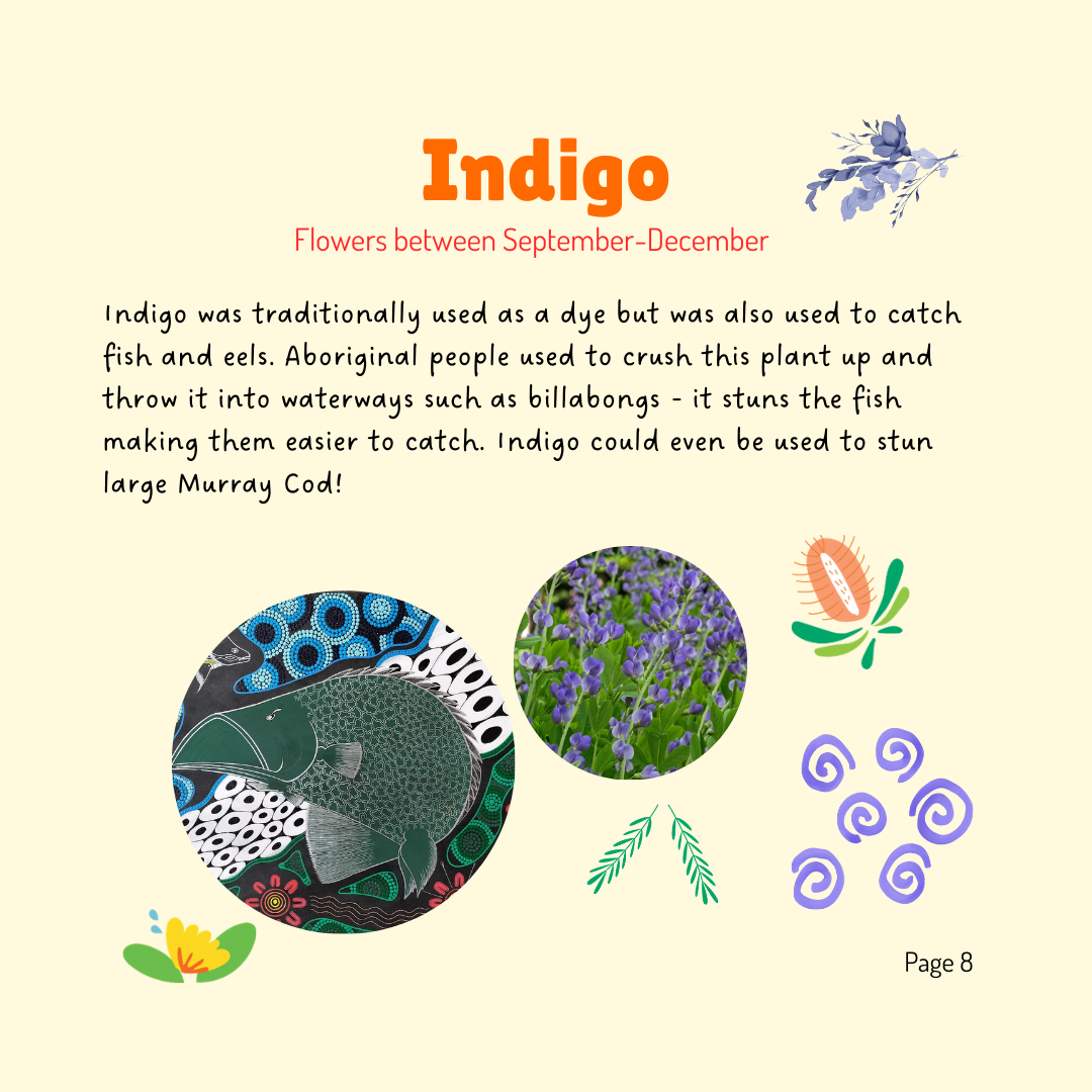 Cultural Knowledge of Australia Flora Booklet - Image 3